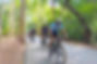 Cycling in Angkor park trails, Ride with local guide, Riding in the UNESCO park 5 days