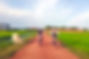 Cycling on the country road, Countryside tour by bike, Siem Reap Countryside by bike, Cycling the Countryside Half-day